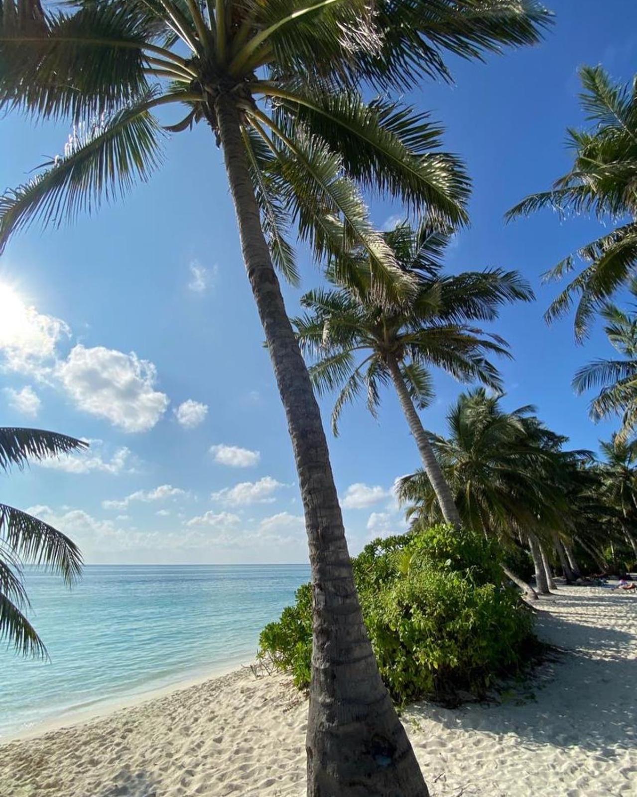 Hotel Chillax Thoddoo-Atoll Exterior foto